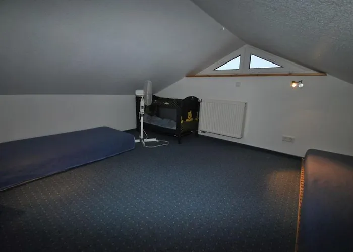 Nordsee-schwan Nyaraló